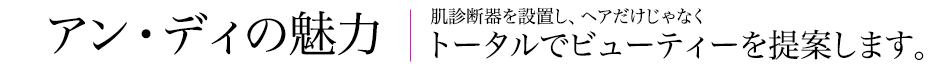 アン・ディの魅力 