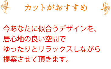 �J�b�g����������