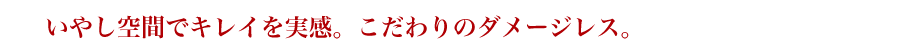 ₵ԂŃLCB̃_[WXB				
				